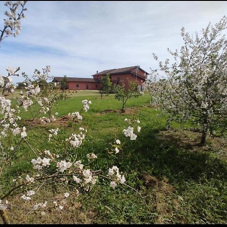 Bed and breakfast Il Casale Di Giulia Di Aprilia Extérieur photo